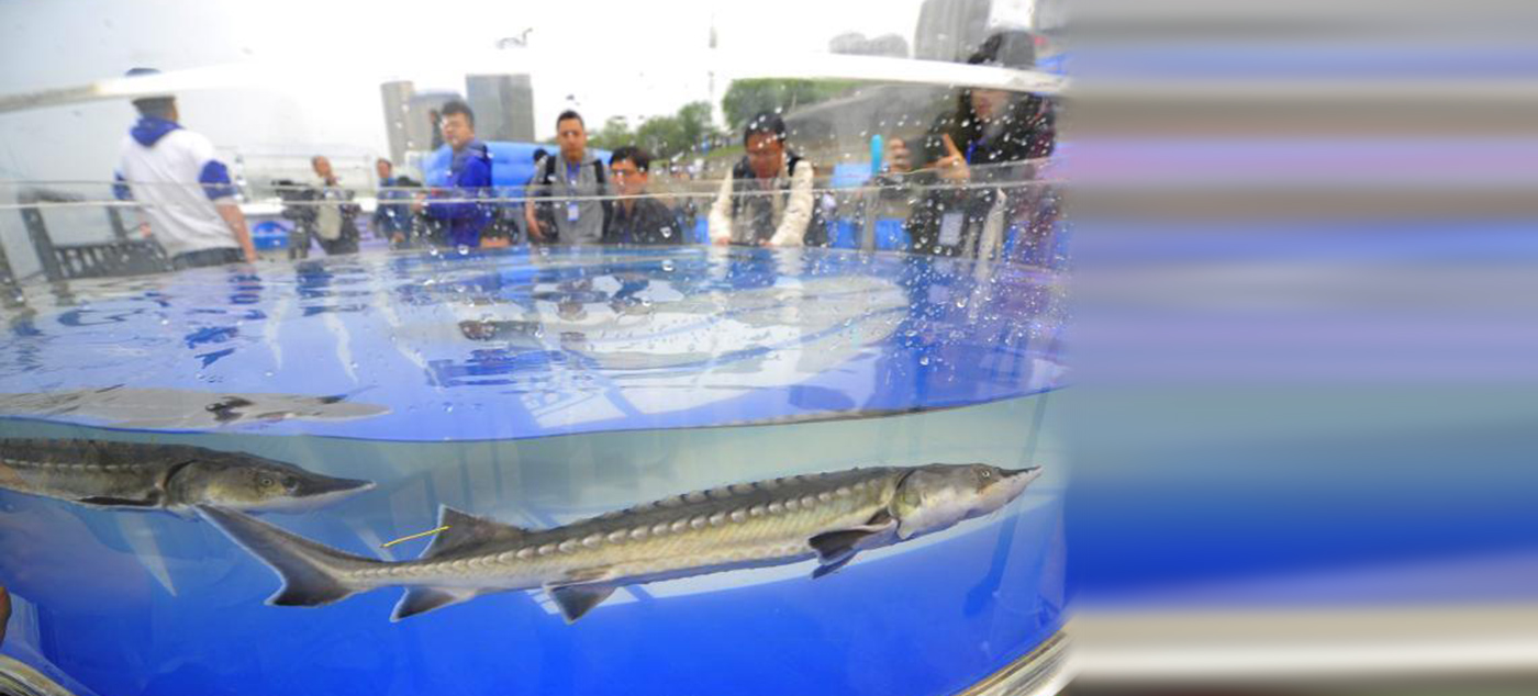 播种幸福，遇见末来 记中国太平保险公司优秀主管曲春玲